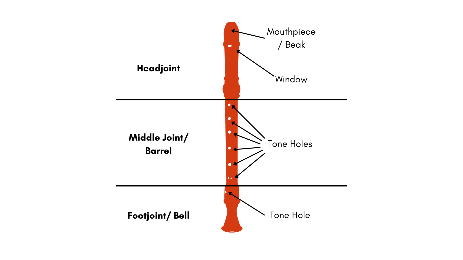 The different parts of pCorder